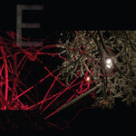 E - E (Vinyl) (Thalia Zedek)
