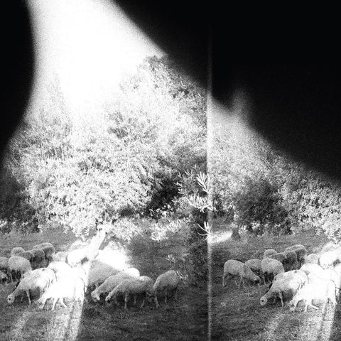 Godspeed You! Black Emperor - Sweet And Other Distress (180 gram)