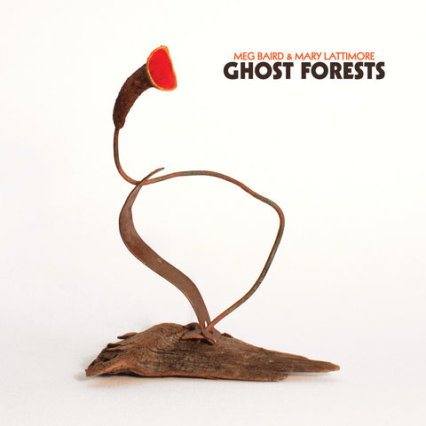 Meg Baird & Mary Lattimore ‎– Ghost Forests (Green Vinyl)
